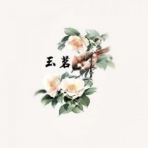 玉茗玉茗